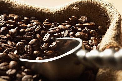 《火炬之光：无限》新赛季增加英雄逃脱者宾